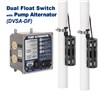 PS_web_-_DVSA-DF