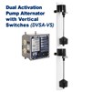 PS_web_-_DVSA-VS_v3