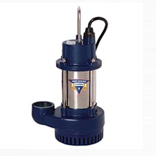 Sump Pumps